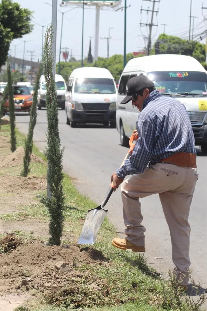Zona Metropolitana del Valle de México dispone de 50 cm de área verde por habitante