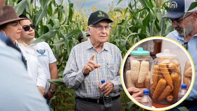 Chapingo y Sader unen esfuerzos para proteger el maíz nativo de México