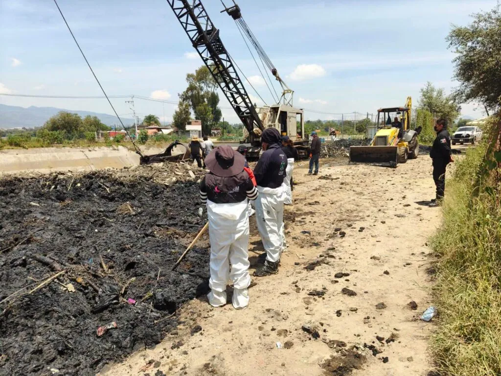Lirios Buscadores exigen que la desaparición de sus hijos sea atendida como emergencia