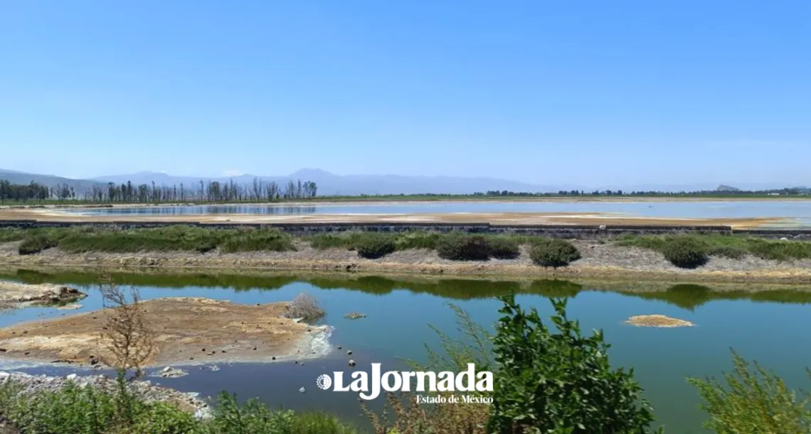 Zona lacustre Xico-Tláhuac es declarada Área Natural Protegida por Gobierno Federal