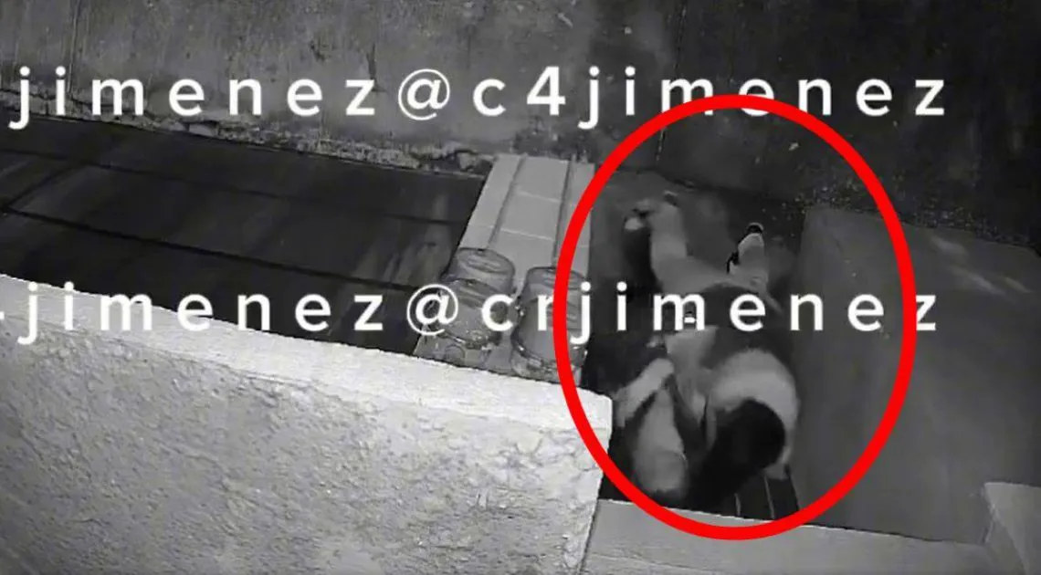 VIDEO: Mujer se defiende y se salva de ser abusada por un sujeto en Neza