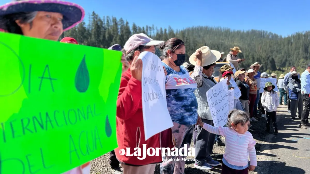 Exigen operativos del Ejército en bosques de Ocuilan y cierre definitivo de aserraderos clandestinos