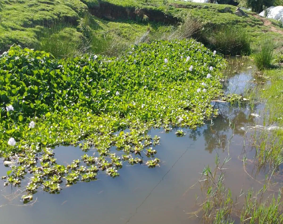 La menor de un año murió ahogada