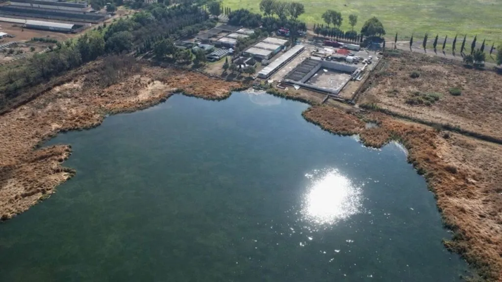 Crean humedales con agua tratada en Tecámac