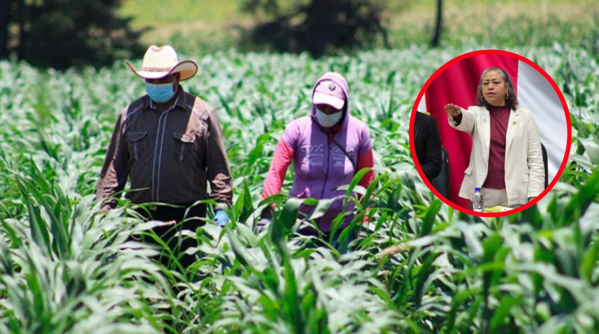 Entrega Edomex 29 mil apoyos al sector campo en un año