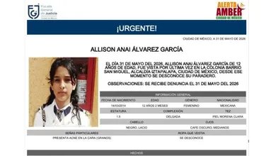 Ficha de búsqueda de Allison Álvarez García, menor de 12 años reportada como desaparecida en Ciudad de México.
