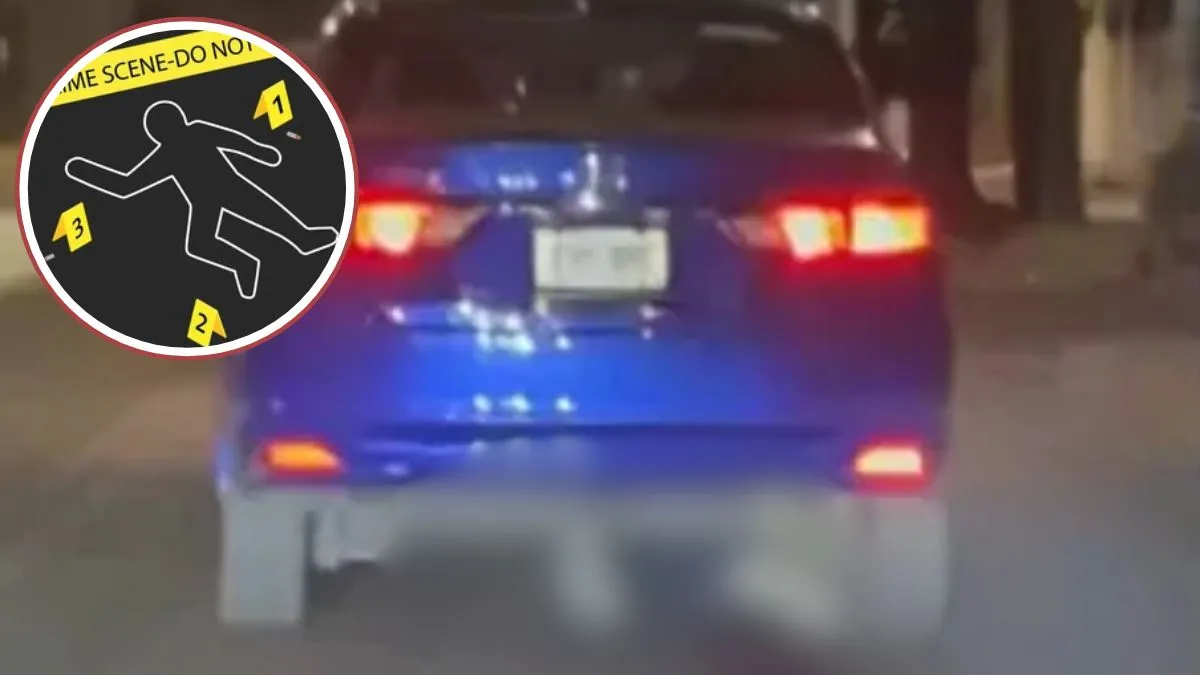 Penalista recomienda a automovilistas no huir en caso de atropellamiento