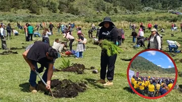 En San Pedro Atlapulco, Ocoyoacac, realizan reforestación de 300 hectáreas taladas