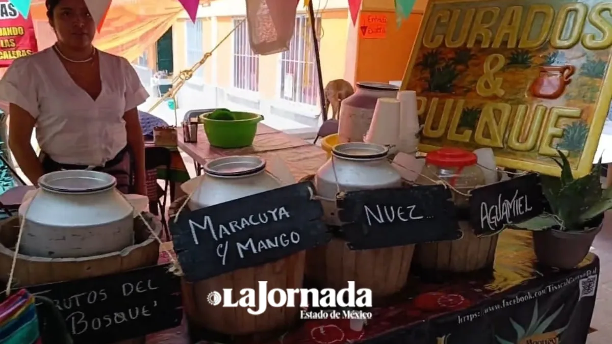 Productores alistan Feria del Maguey en Ixtapaluca