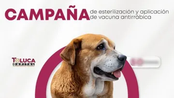 Campaña de esterilización gratis en Delegación Adolfo López Mateos. Aquí todos los detalles