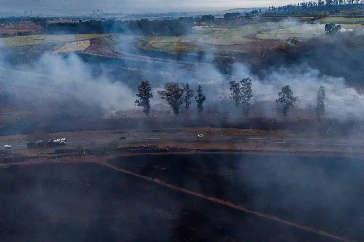 Brasil, en “guerra” contra incendios forestales al sureste de Sao Paulo