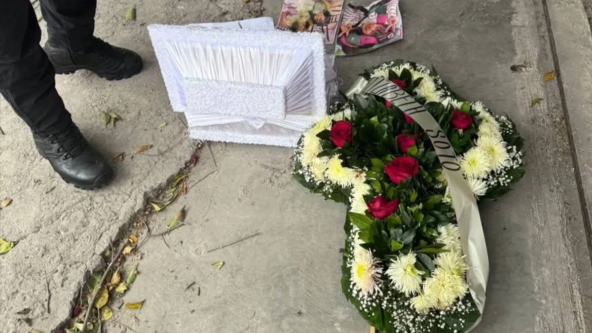 Sin avances investigación por amenazas contra Seres Libres