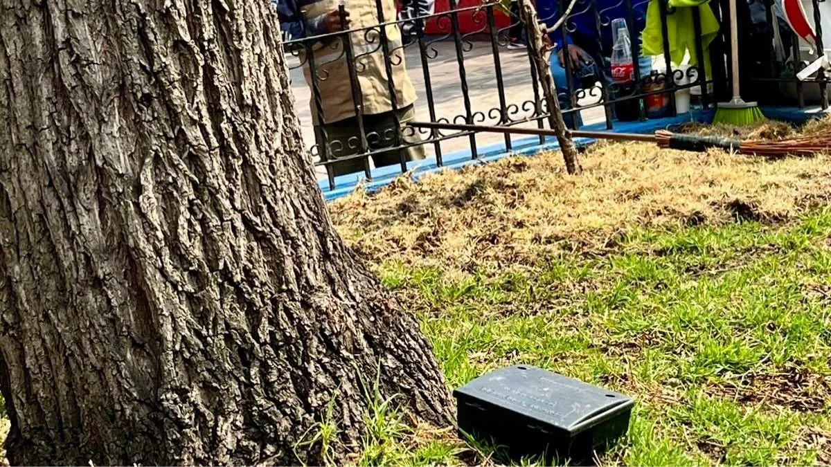 Toluca acaba con plagas de ratas; atenderán Parque Urawa