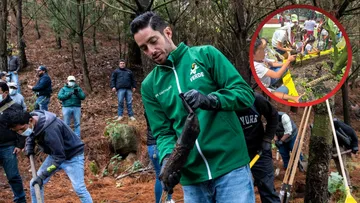 PVEM se suma a reforestación impulsada por Claudia Sheinbaum y Delfina Gómez