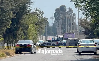 El sitio se mantiene acordonado por varias cuadras y policías municipales impiden el paso a vehículos, también llegaron paramédicos y personal de Profepa para el control de los animales.