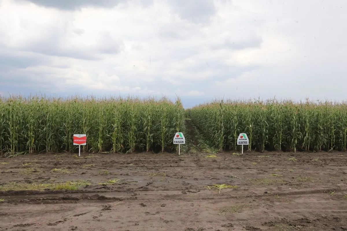Conocimiento científico de la UAEMéx al servicio del campo
