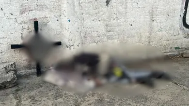 PERSONAS EN SITUACIÓN DE CALLE MUEREN EN MEDIO DE LA INDIFERENCIA SOCIAL