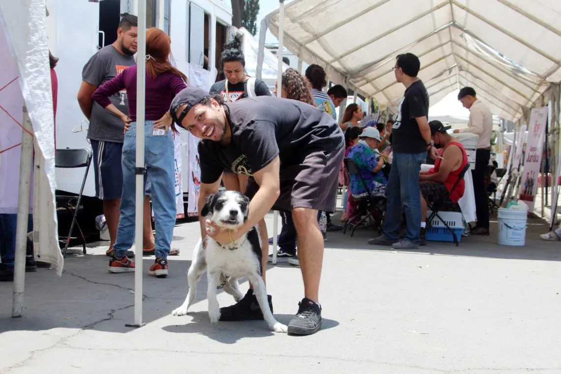 Ecatepec ha esterilizado a más de 15 mil mascotas para prevenir el maltrato animal