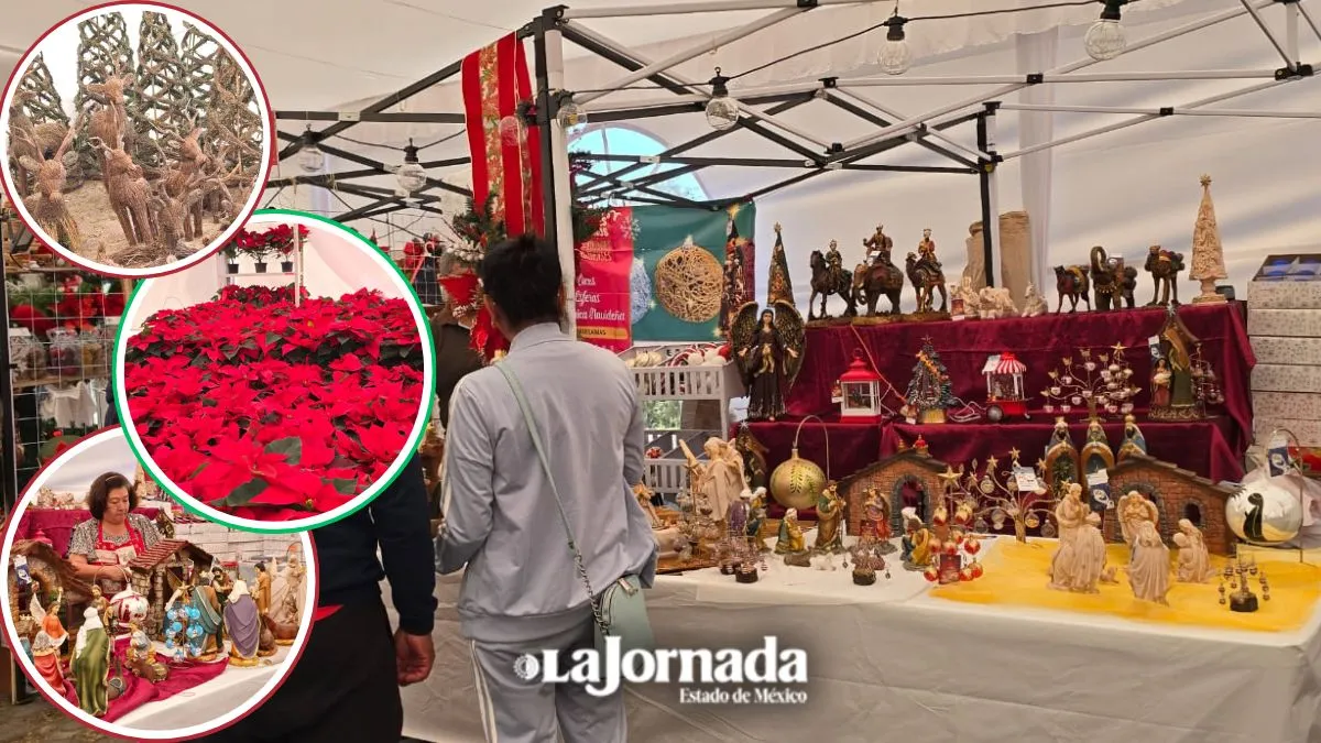 Expo Navidad Forestal 2025 en Edomex: Esto es lo que puedes comprar