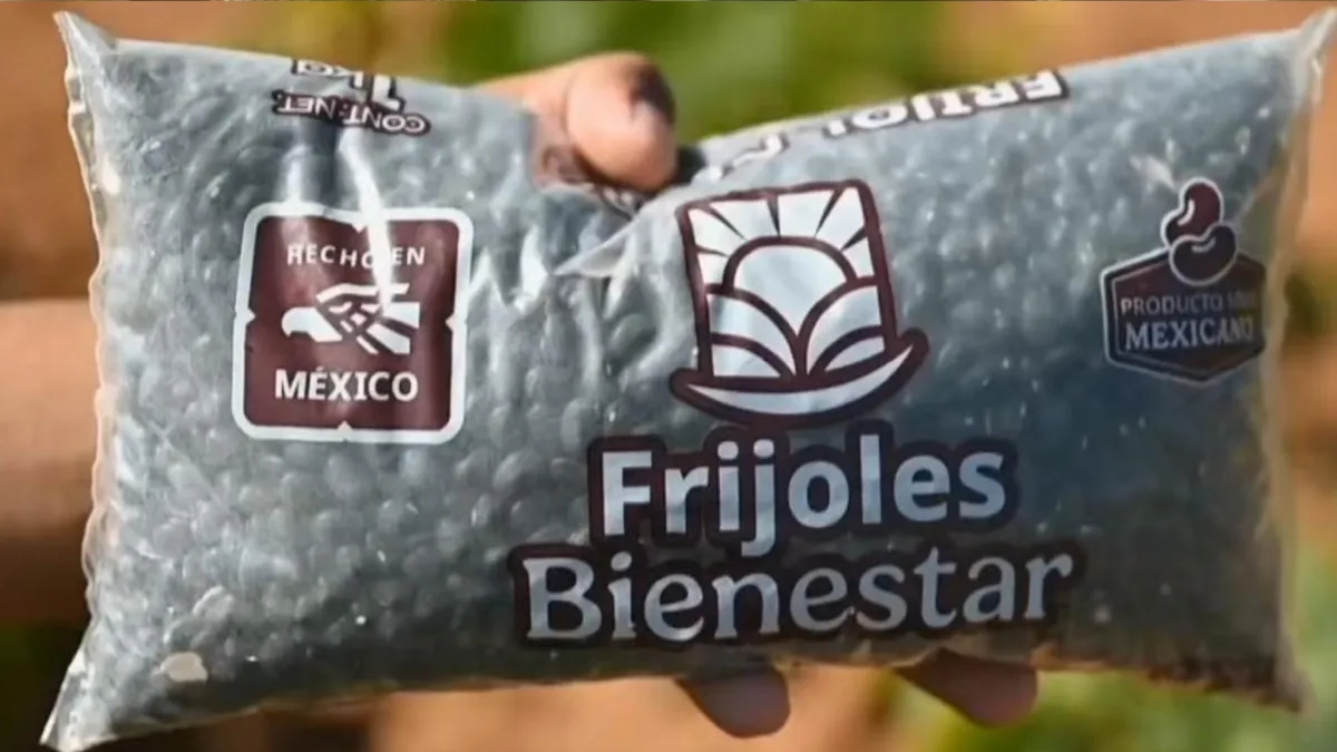¿Cuánto costará el kilo del frijol del bienestar?