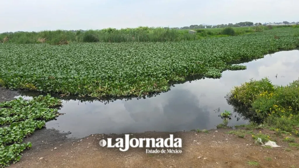 Sancionan a ocho empresas por descargas ilegales en Lerma