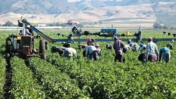 Mexiquenses migrantes en Canadá piden tener voz en las evaluaciones laborales