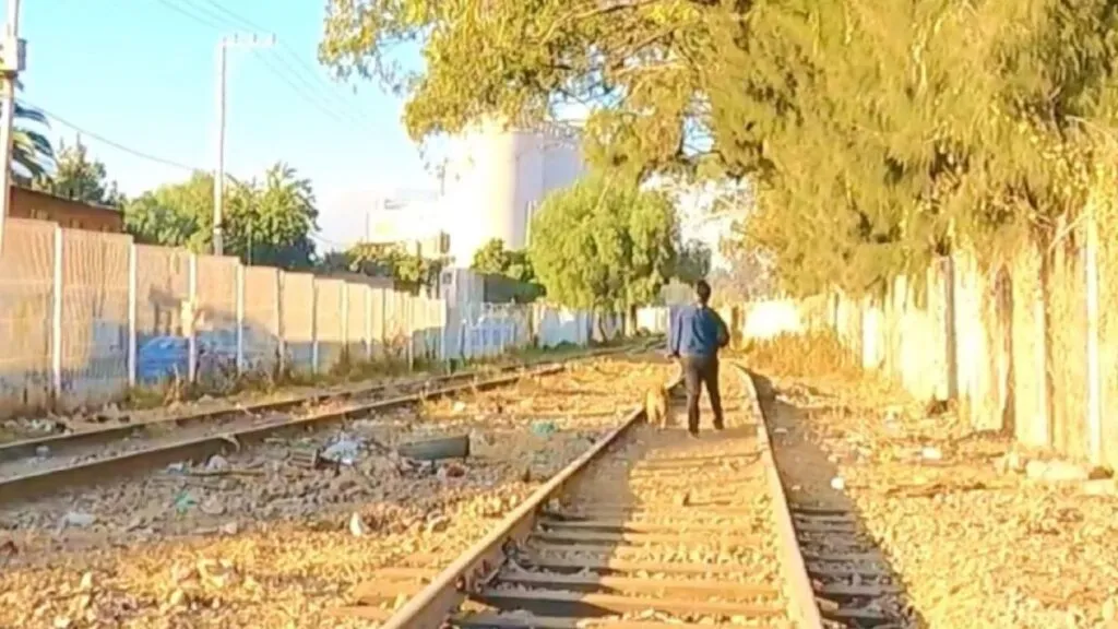 Tren Texcoco-La Paz podría iniciar obras este año