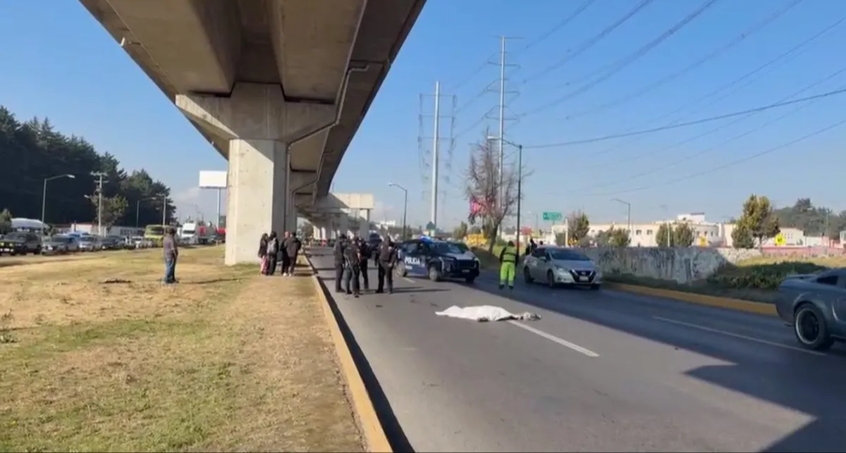 Mujer pierde la vida al ser atropellada en Las Torres