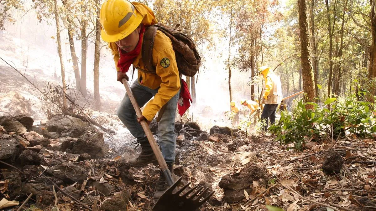 Se triplica incendios forestales en Edomex en lo que va de 2024: PROBOSQUE