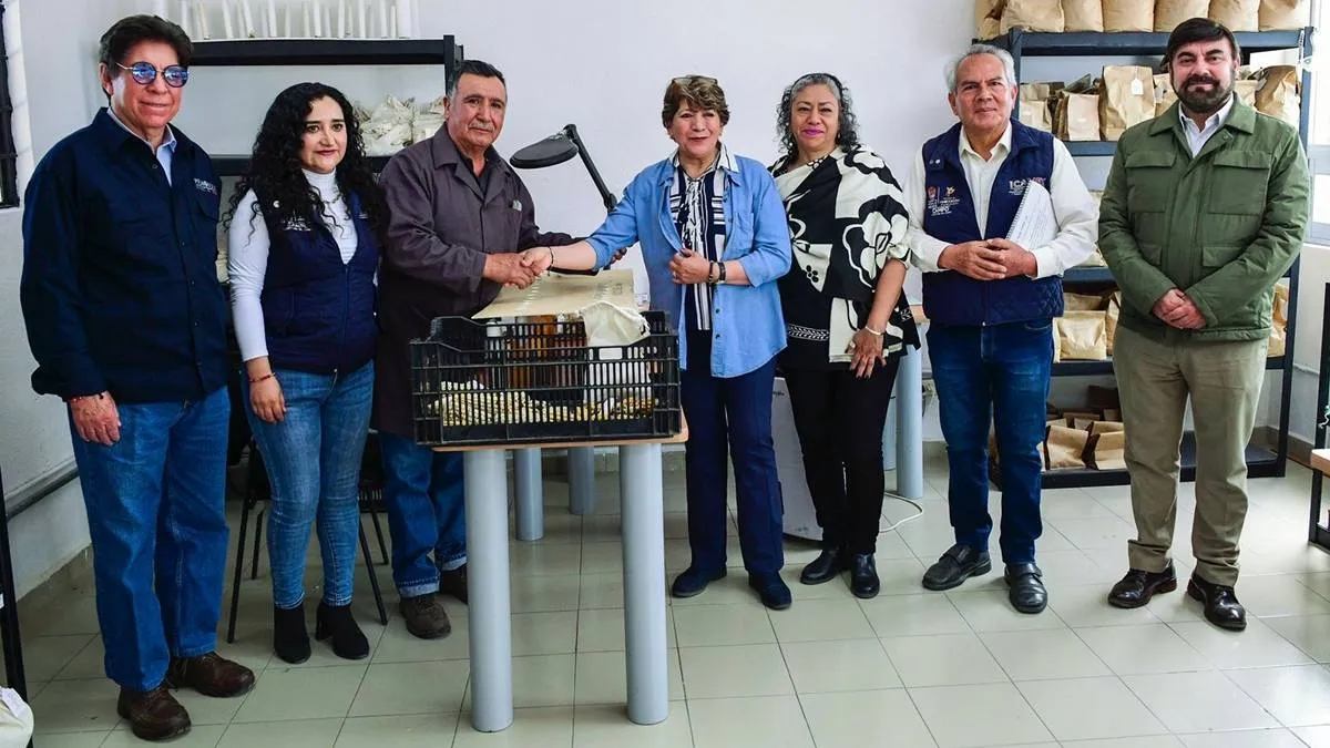 GEM busca mantener impulso al cultivo de amaranto ante cambios climáticos