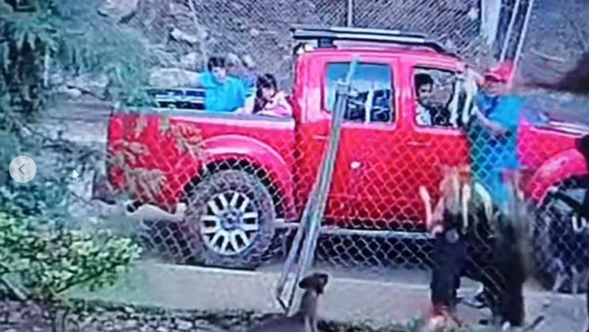 [VIDEO] Familia abandona a perrito y este es atacado por otros animales en refugio de Tenancingo