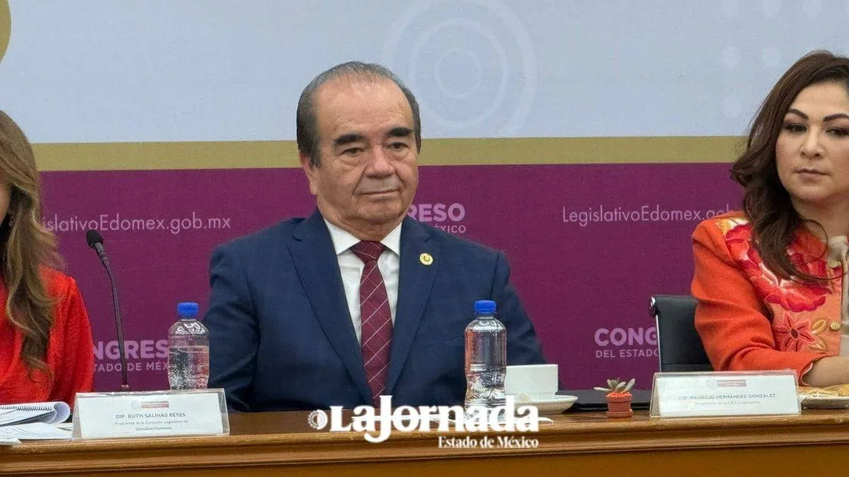 Morena en unidad ungirá a nueva dirigencia: Maurilio Hernández