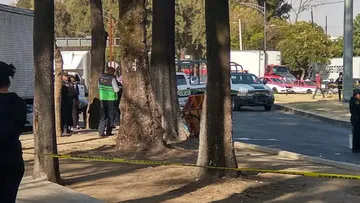 Muere hombre atropellado frente a la Central de Abastos de Iztapalapa