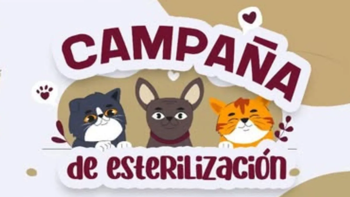 Jocotitlán tendrá campaña de esterilización gratis