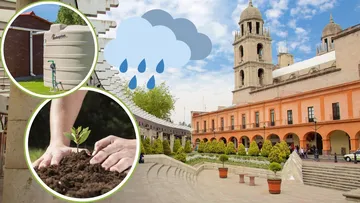Toluca arborizará zona urbana para disminuir altas temperaturas