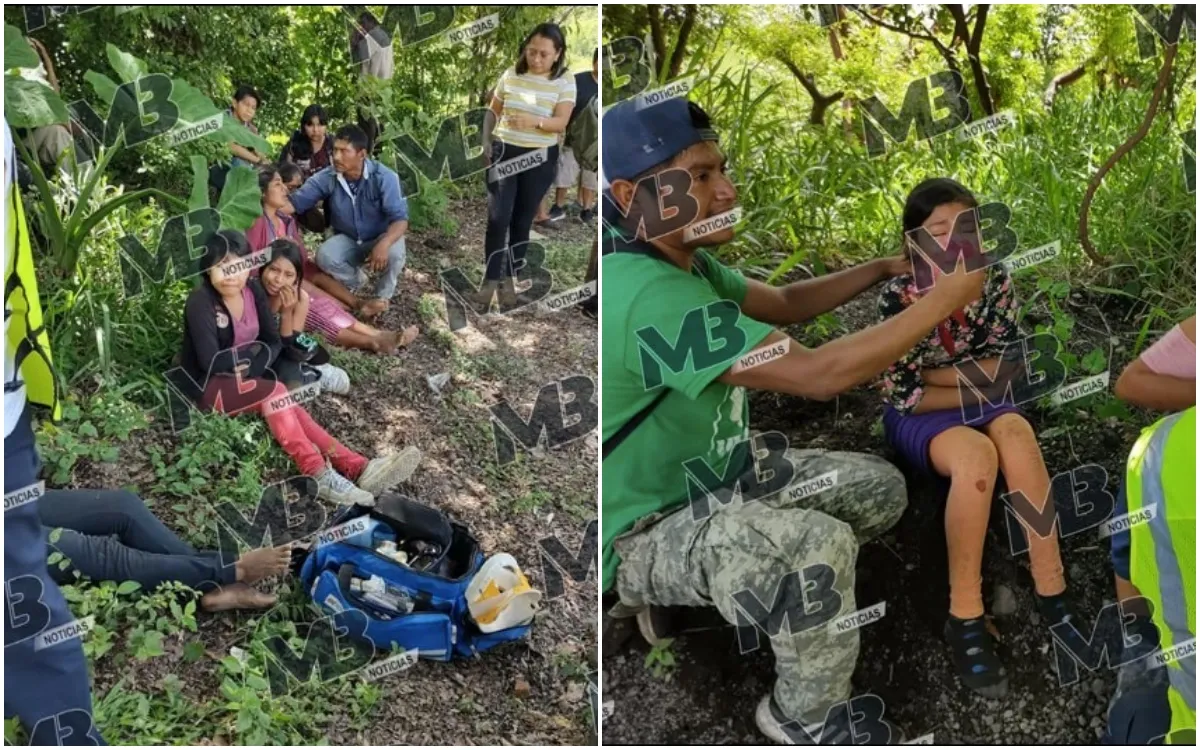 Accidente destapa red de trabajo infantil vinculada a Casa Turrent en Veracruz