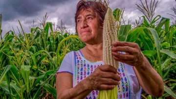 Casi un millón de mujeres participan en el campo mexiquense