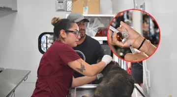 Atizapán recibe Caravana por el Bienestar Animal con esterilizaciones gratis