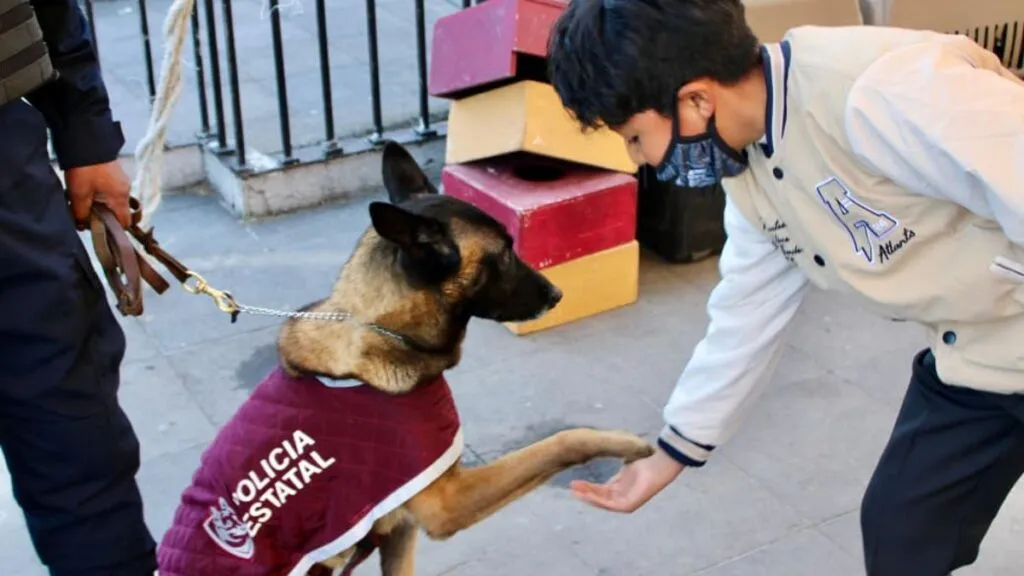 Almoloya de Juárez acerca servicios de seguridad y fomenta la prevención del delito entre los jóvenes