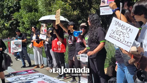 Activistas exigen aprobar iniciativa que prohíbe corridas de toros y pelas de gallos en Edomex