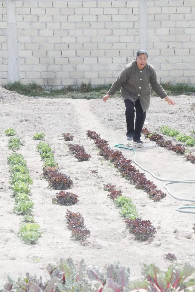 Raíces de concreto: El huerto de traspatio como motor de soberanía alimentaria en la ciudad