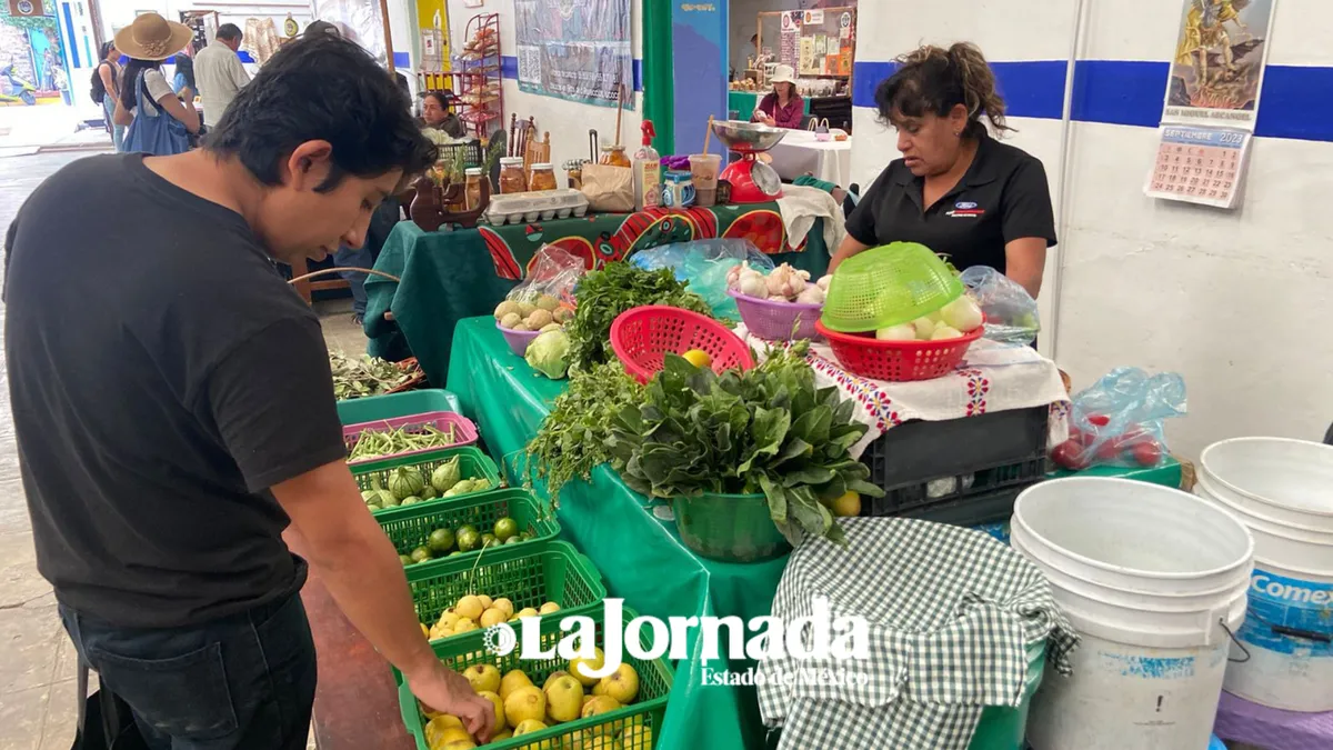 Anuncian desaparición de tianguis orgánico en Chapingo