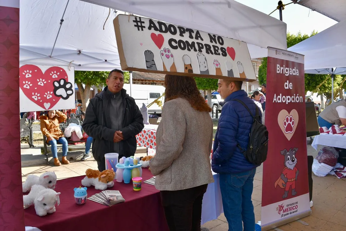 Jornada gratuita de esterilización en Mexicaltzingo