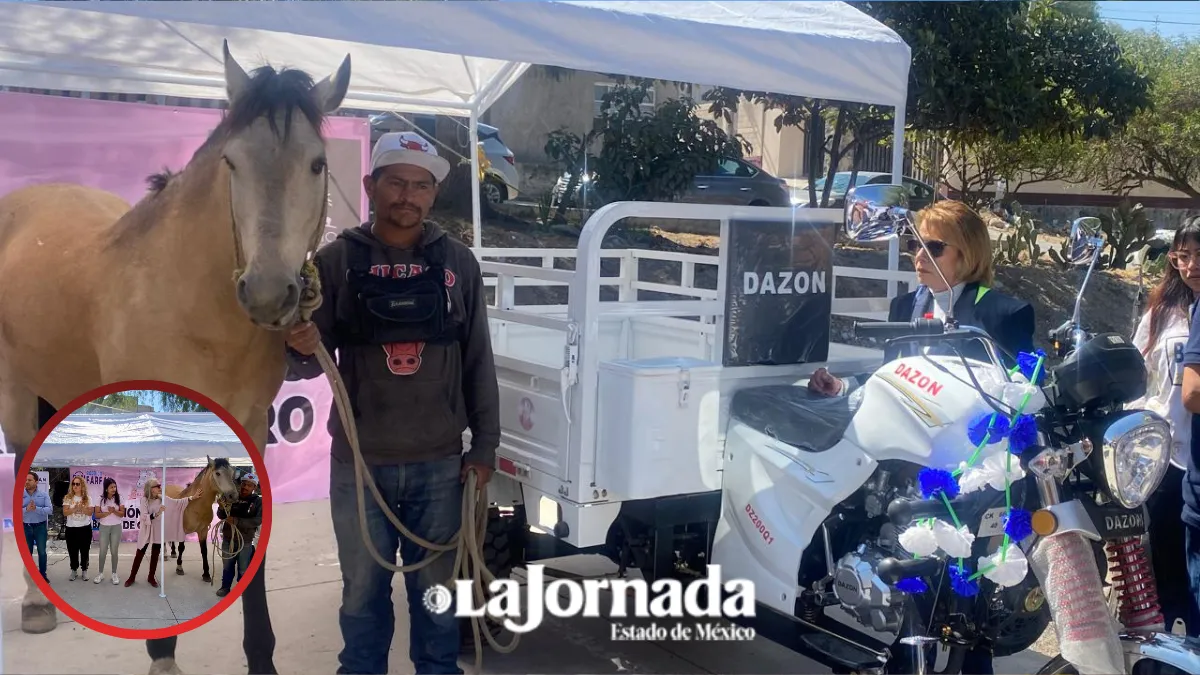 Jubilan a Bayo, último caballo carretonero en Los Reyes La Paz [VIDEO]