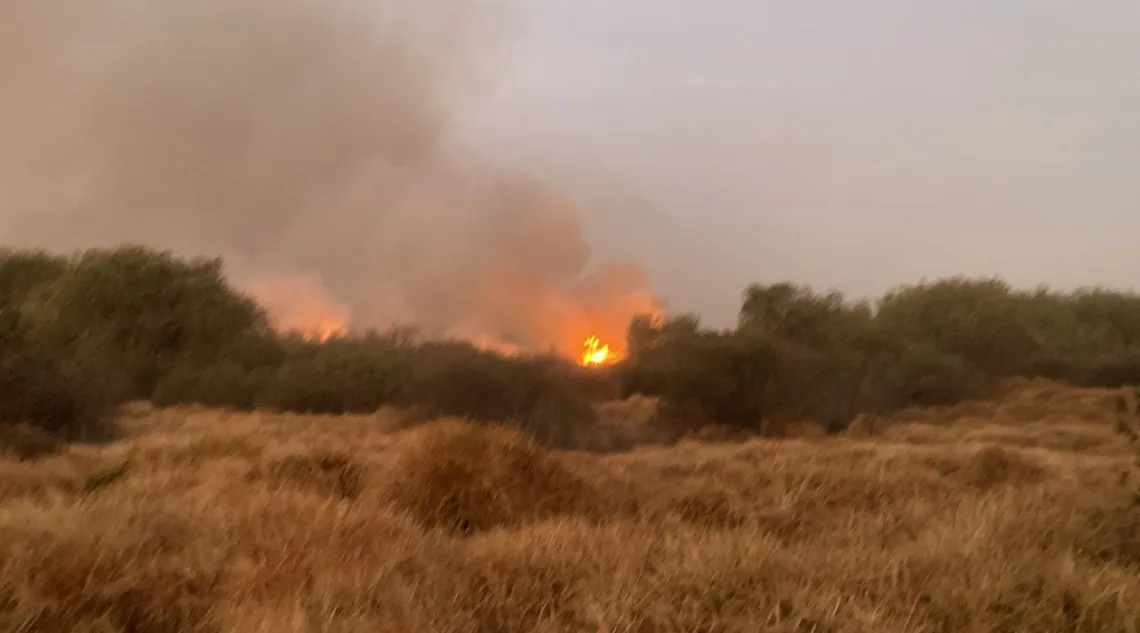 Naucalpan: Se reactiva incendio en el Vaso Regulador El Cristo