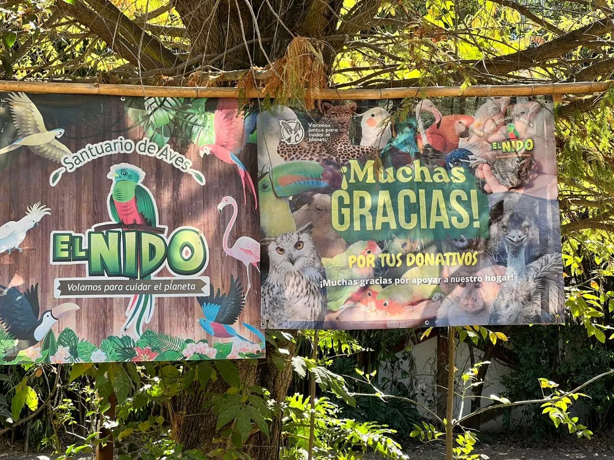 Ixtapaluca: PROFEPA retira clausura al santuario de aves “El Nido”