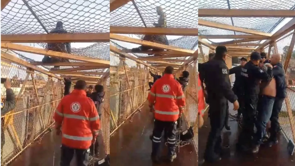 (Video) Lerma: Individuo intenta lanzarse desde puente peatonal, autoridades lo impiden