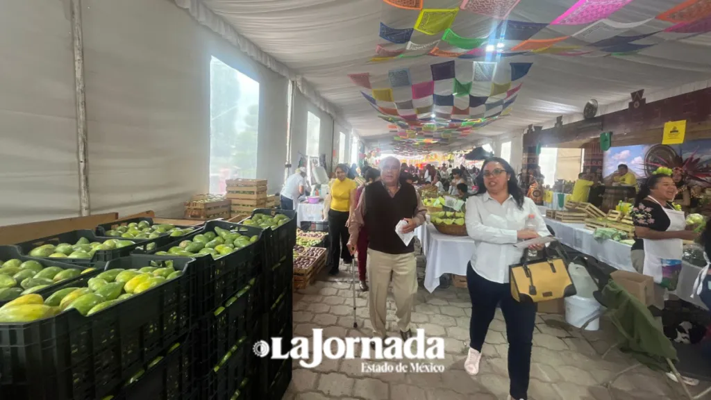 Feria de la Tuna pretende atraer a 25 mil visitantes
