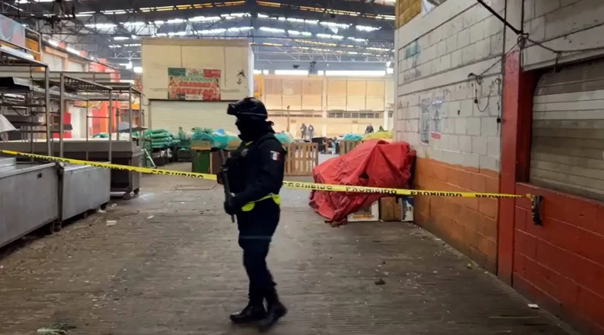 Incendio en la Central de Abastos de Toluca deja nueve muertos