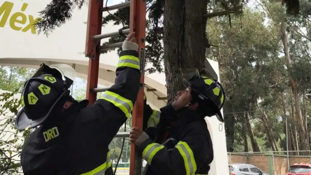 Delfina Gómez supervisa limpieza de la Presa Ángulo para evitar afectaciones a 50 mil personas